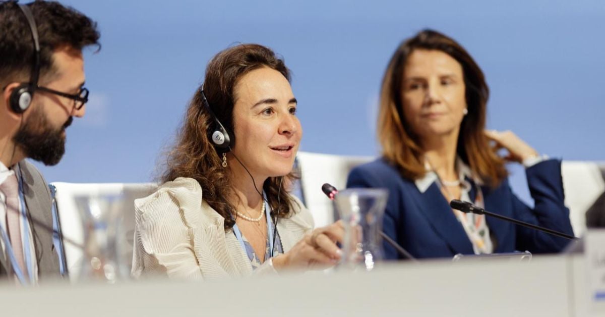 Roadmap de Baku a Belém é um dos principais debates na Conferência das Partes da UNFCCC, em Bonn, na Alemanha. Circulo de Ministros da COP30, liderado pelo Brasil, elabora plano para ampliar financiamento climático que será entregue em outubro | Foto: Isabela Castilho/Audiovisual COP30 Brasil Amazônia