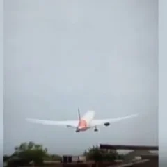 O avião estava a caminho do aeroporto Gatwick, em Londres, no Reino Unido. Por ora, sabe-se que 1 passageiro sobreviveu.
