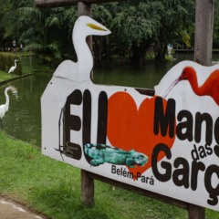 Foto: Rodrigo Pinheiro/ Agência Pará