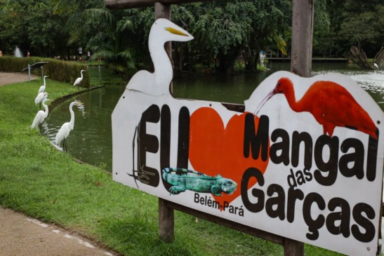 Foto: Rodrigo Pinheiro/ Agência Pará