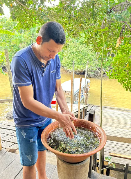 Combu vira vitrine do turismo amazônico para a COP 30