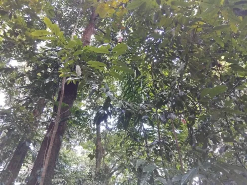 Evento no Parque do Utinga terá lançamento de programas, entrega de benefícios e assinatura de ações estruturantes em todo o estado