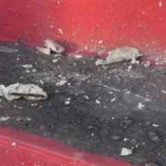 Durante o jogo entre Santa Cruz-RN e Santa Cruz-PE, realizado no último domingo (13), no estádio do Arruda, torcedores tricolores relataram sérios problemas