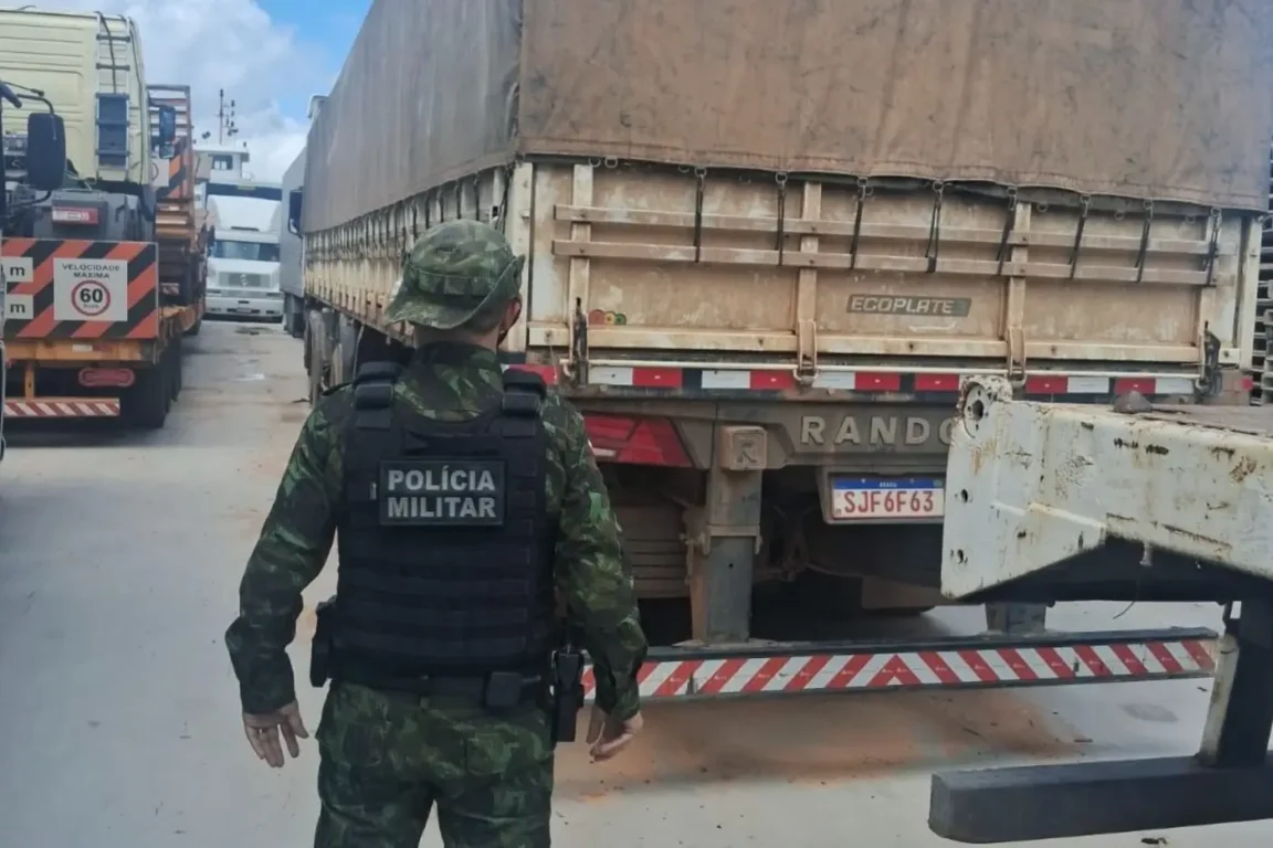 O transporte irregular foi detectado imediatamente durante abordagem a uma embarcação, configurando crime ambiental