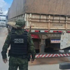 O transporte irregular foi detectado imediatamente durante abordagem a uma embarcação, configurando crime ambiental
