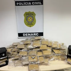 Uma operação integrada das Polícias Civis do Pará e do Amazonas resultou na apreensão de cerca de 152 quilos de maconha do tipo skunk. Foto: Divulgação