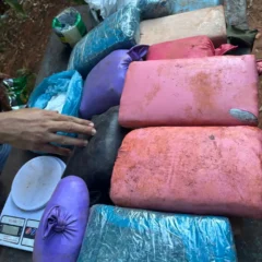 A Polícia Civil do Pará (PCPA) apreendeu aproximadamente 40 quilos de cocaína, crack e maconha na tarde da última quarta-feira (9), em Parauapebas.