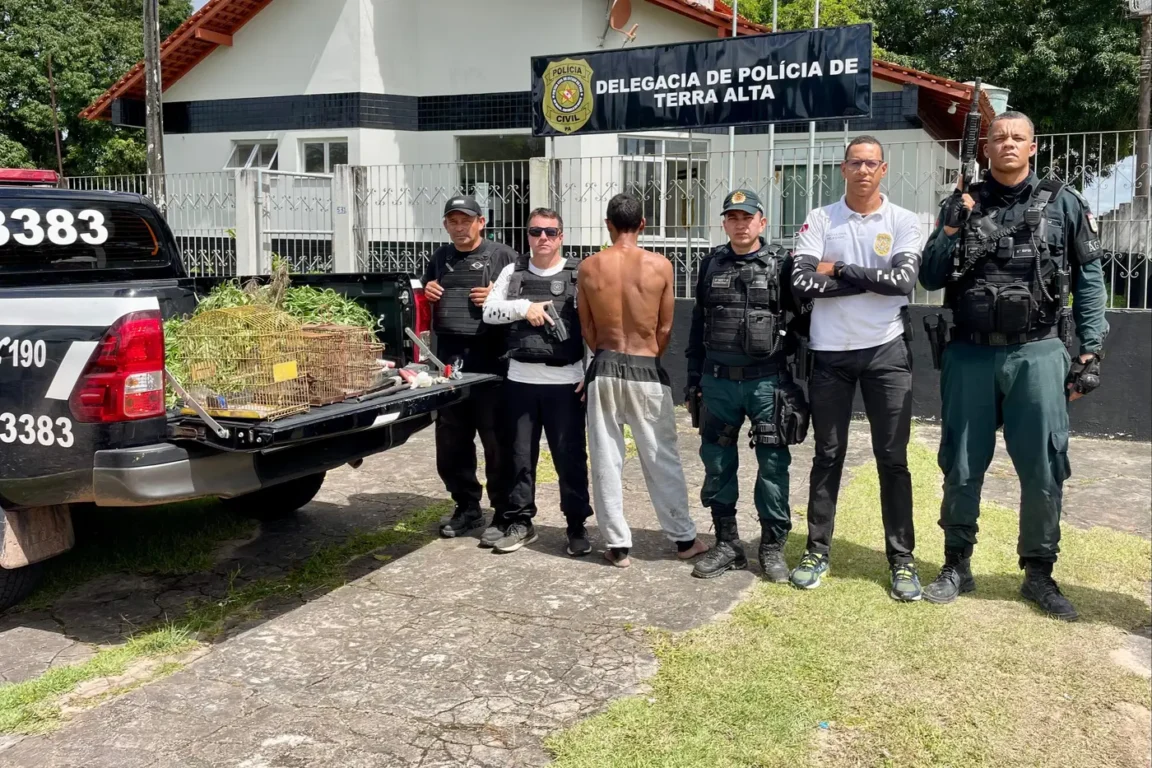 Pará apreende quase 10 toneladas de drogas no 1º semestre de 2025