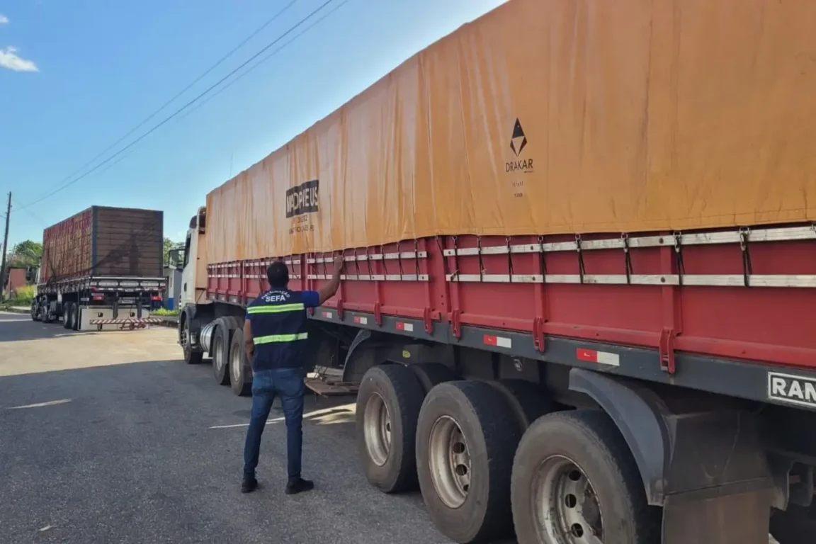 Caminhão que transportava a carga irregular. Foto: Divulgação