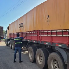 Caminhão que transportava a carga irregular. Foto: Divulgação