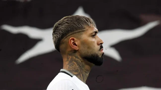Vitor Silva/Botafogo