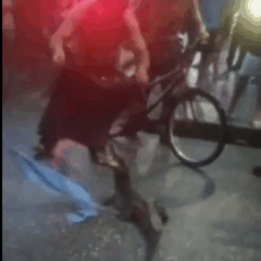 Um jacaré foi visto andando calmamente pela rua, assustando quem passava pelo local.