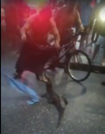 Um jacaré foi visto andando calmamente pela rua, assustando quem passava pelo local.