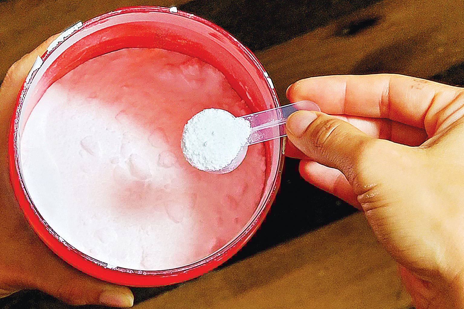 A creatina é indicada para praticantes de atividades físicas, principalmente esportes que exigem força, diz nutricionista FOTO: ALBERTO BITAR