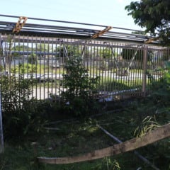 Enquanto as obras não reiniciam, os usuários de ônibus sofrem com o calor sem abrigo FOTOs: antônio melo