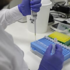 Trabalho de pesquisa do Projeto Genômica da Biodiversidade Brasileira (GBB)
