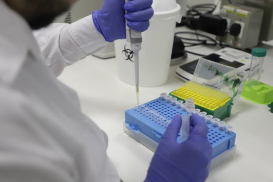 Trabalho de pesquisa do Projeto Genômica da Biodiversidade Brasileira (GBB)