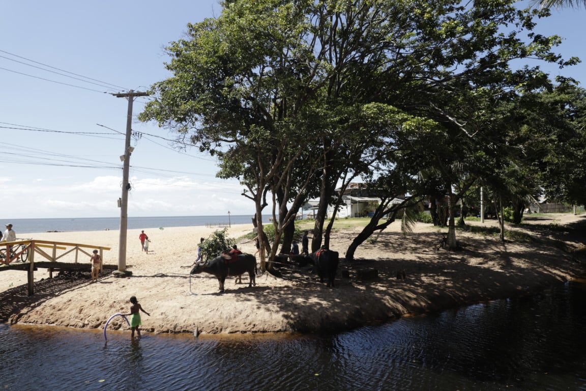 Reprodução