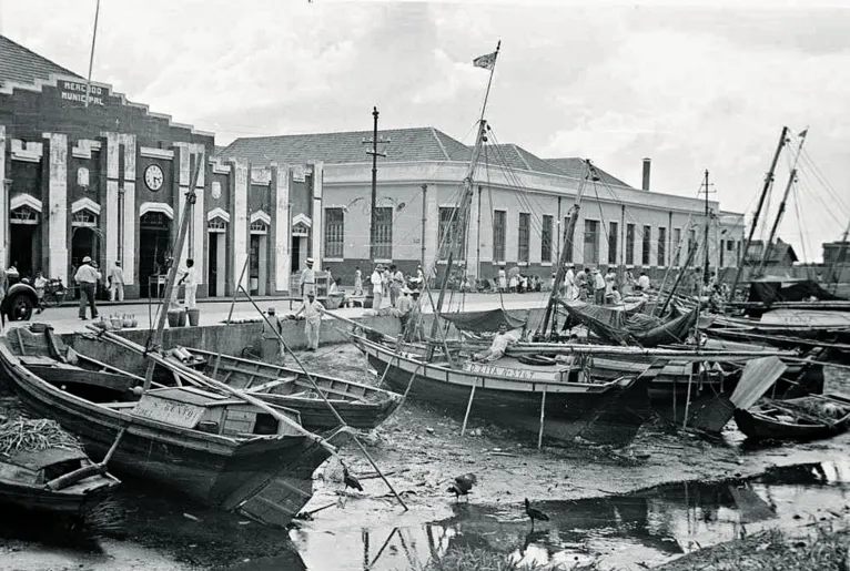 Pouca gente imagina, ao olhar a modernidade dos prédios da avenida Visconde de Souza Franco, que a famosa Doca já foi um cenário rural