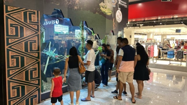 Do medo à curiosidade: exposição aproxima o público da fauna amazônica