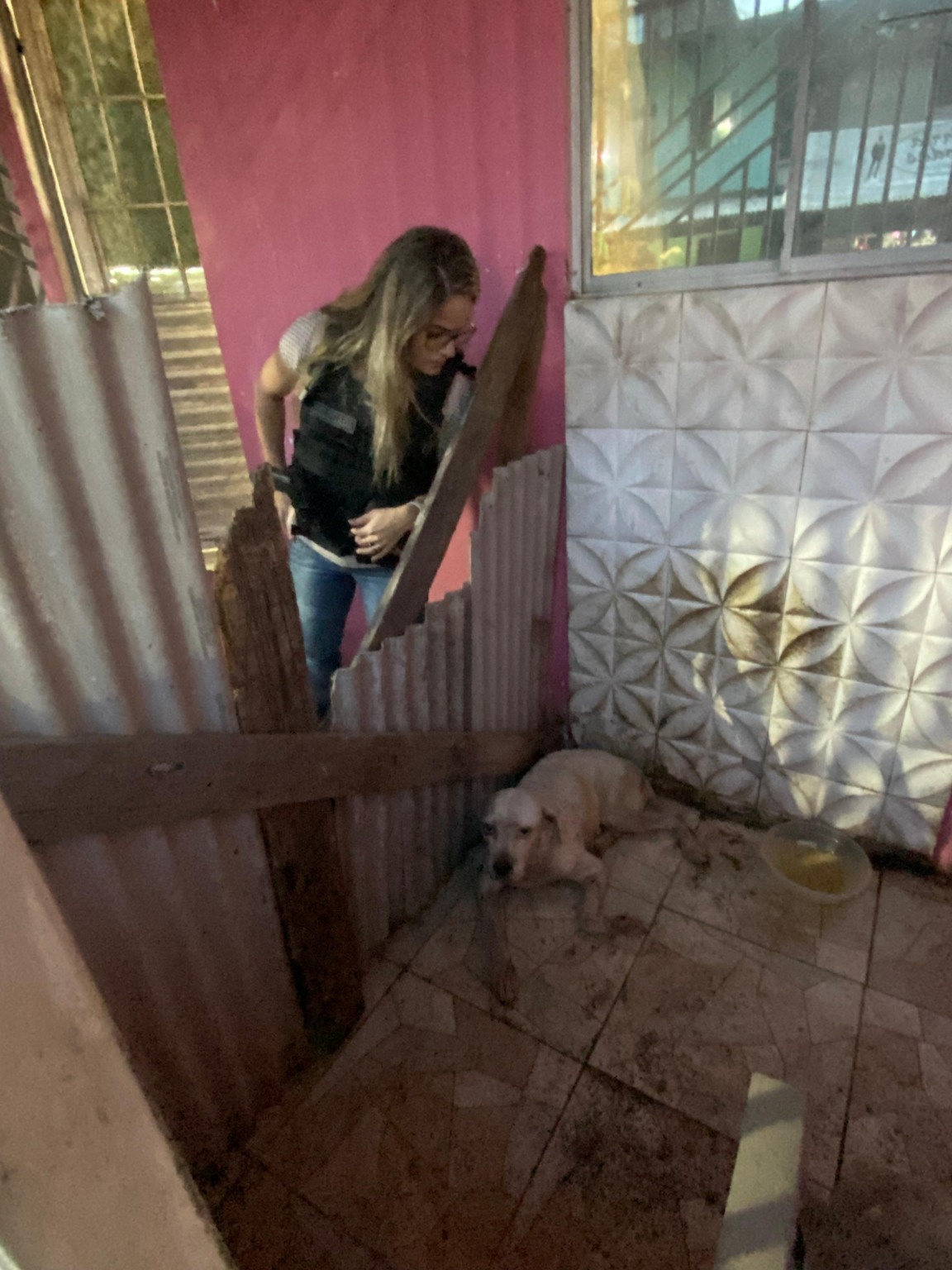 Mulher é flagrada maltratando cadela no Marajó