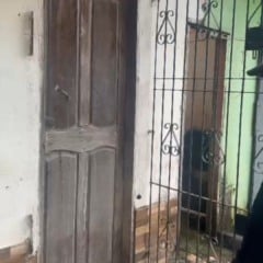 idoso passou a viver em situação de cárcere privado, sofrendo maus-tratos e tendo sua aposentadoria desviada por uma mulher que dizia cuidar dele.