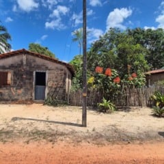 Sem testemunhas, mas com provas: homem é preso por feminicídio no Pará