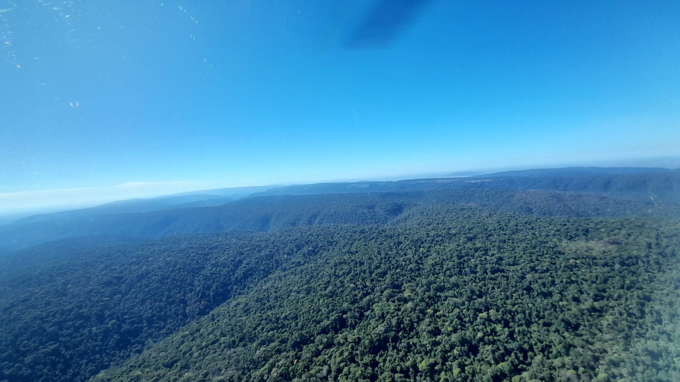 Bioparque Vale Amazônia preserva uma amostra viva da riqueza natural da Amazônia