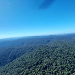 O bioma Amazônia registrou, ao longo dos últimos 12 meses, queda de 8% no número de alertas de desmatamento em áreas utilizando o sistema por corte raso, ou seja, sem considerar focos de incêndio. A