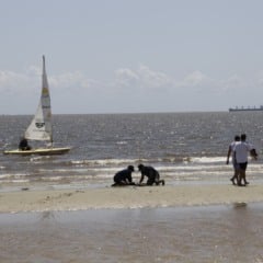 Distante a cerca de 90 quilômetros de Belém, a Praia do Caripi, localizada no município de Barcarena, é uma boa pedida para o verão.
