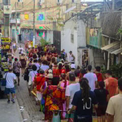 Divulgação