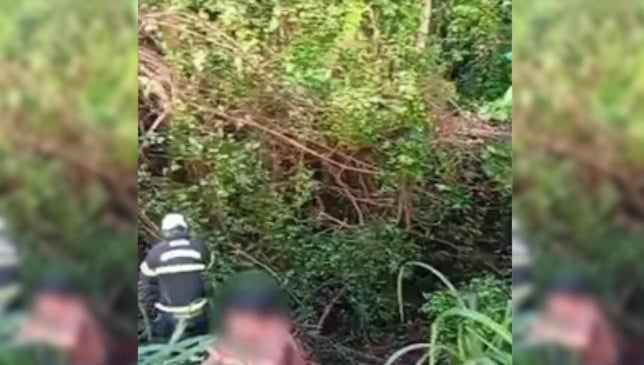 Acidente com ônibus deixa 20 feridos na BR-010, em Aurora do Pará