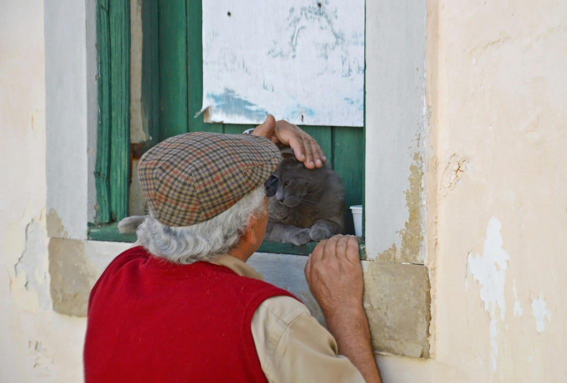 Foto: Marcia Carvalho / Pexels / Divulgação