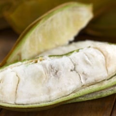 A ingá (Inga edulis), nativa da região amazônica, é muito mais do que uma fruta apreciada por sua suculência e sabor refrescante no interior do Pará