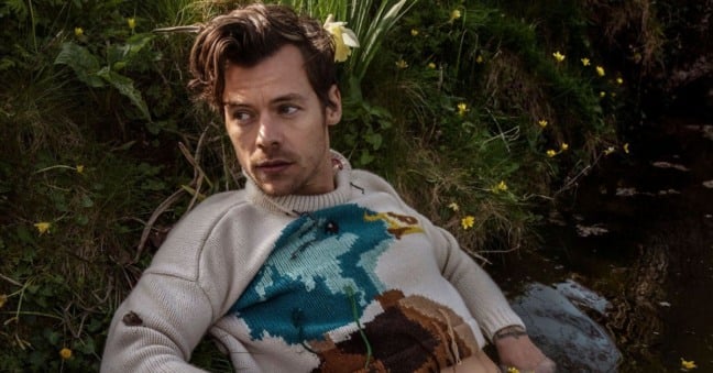 Harry Styles, 31, quer proporcionar um novo tipo de prazer às suas fãs. O músico está lançando uma linha de "bem estar sexual" em sua marca Pleasing.