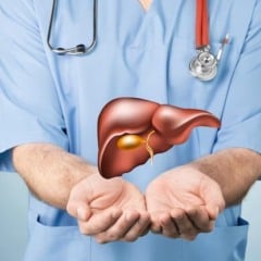 Região Norte concentra 72% dos casos de hepatite D no país, com maior incidência em áreas remotas da Amazônia Legal