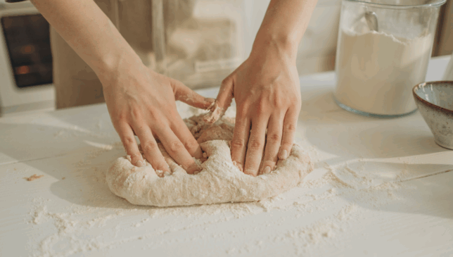 Reprodução: Canva