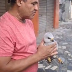 Foto: Instagram/Reprodução