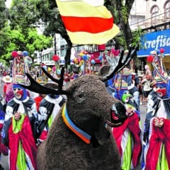 O ponto alto do evento foi a derrubada simbólica dos mastros de São João, acompanhada de músicas e rituais que renovam a esperança para o próximo ano.