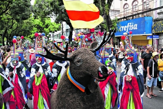 O ponto alto do evento foi a derrubada simbólica dos mastros de São João, acompanhada de músicas e rituais que renovam a esperança para o próximo ano.