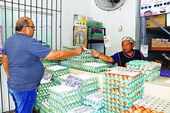 Preços dos ovos de galinha começam a cair em Belém
