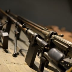 Entre as principais mudanças e vantagens está a centralização e especialização do sistema, já que a PF já administra o Sistema Nacional de Armas (Sinarm).