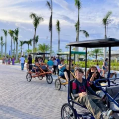 Parque da Cidade fecha em agosto para montagem da COP30; saiba detalhes