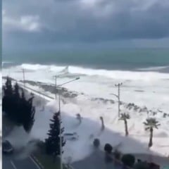 Imagens do momento em que ondas de tsunami atingem o Japão.