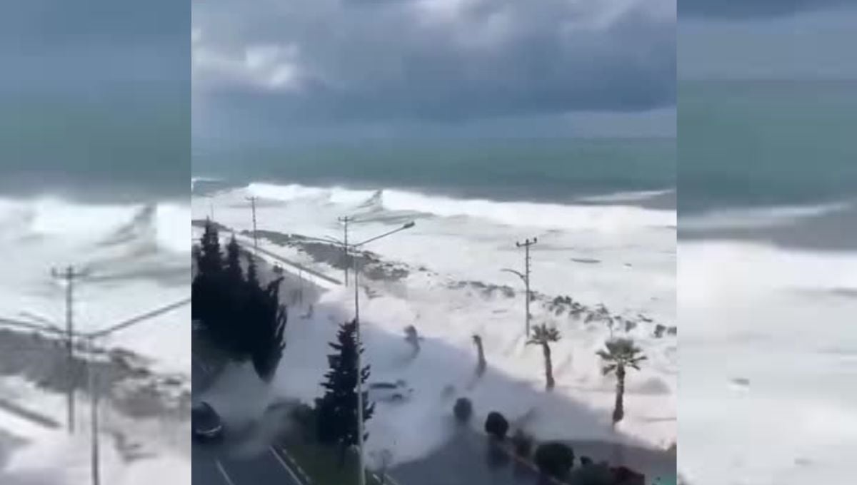 Imagens do momento em que ondas de tsunami atingem o Japão.