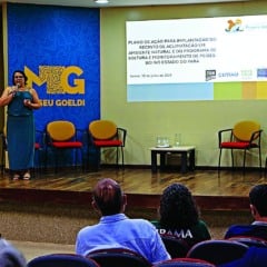 
Segundo instituto, cerca de 60 peixes-boi estão em reabilitação no Pará

FOTO: divulgação