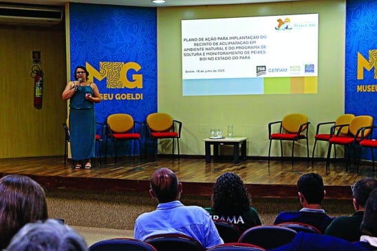 
Segundo instituto, cerca de 60 peixes-boi estão em reabilitação no Pará

FOTO: divulgação