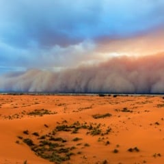 Como a poeira do Saara afeta a Amazônia