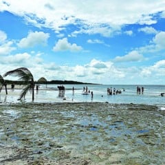 A Praia do Pesqueiro guarda as belezas da Ilha do Marajó. Fotos: Aline Rodrigues