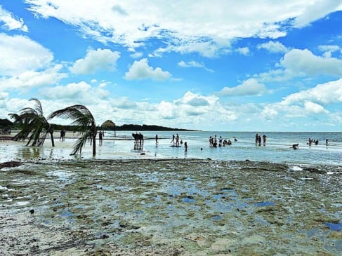A Praia do Pesqueiro guarda as belezas da Ilha do Marajó. Fotos: Aline Rodrigues